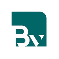 Brains Valley Company