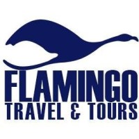 Flamingo - Travel and Tours