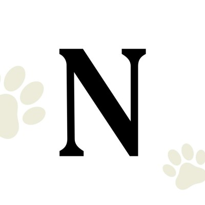 Noble Veterinary Clinics
